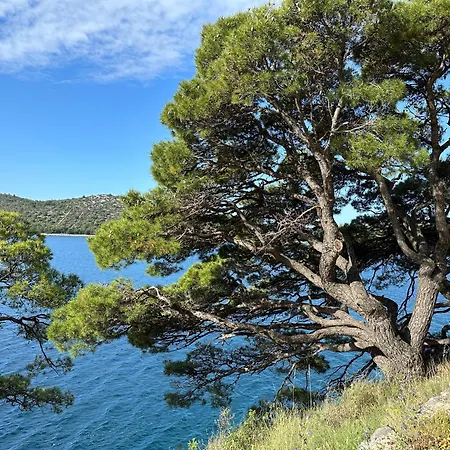 The Sun Terrace Appartement Rogoznica (Sibenik-Knin)