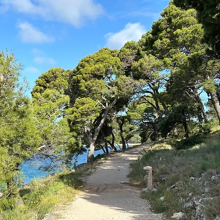 The Sun Terrace Rogoznica (Sibenik-Knin)