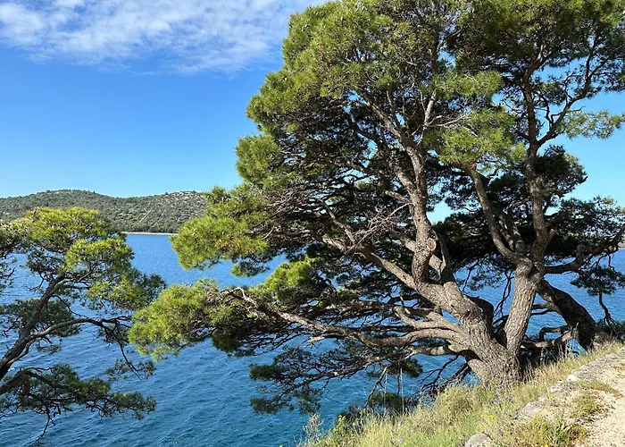 The Sun Terrace Apartamento Rogoznica (Sibenik-Knin)