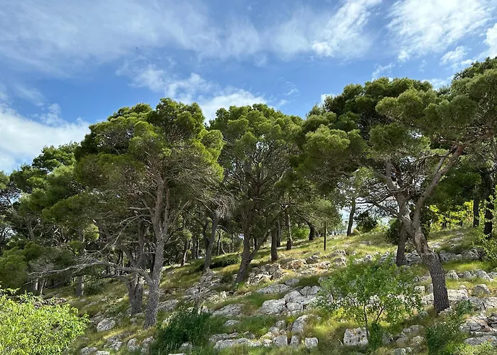 Apartamento The Sun Terrace Rogoznica (Sibenik-Knin)