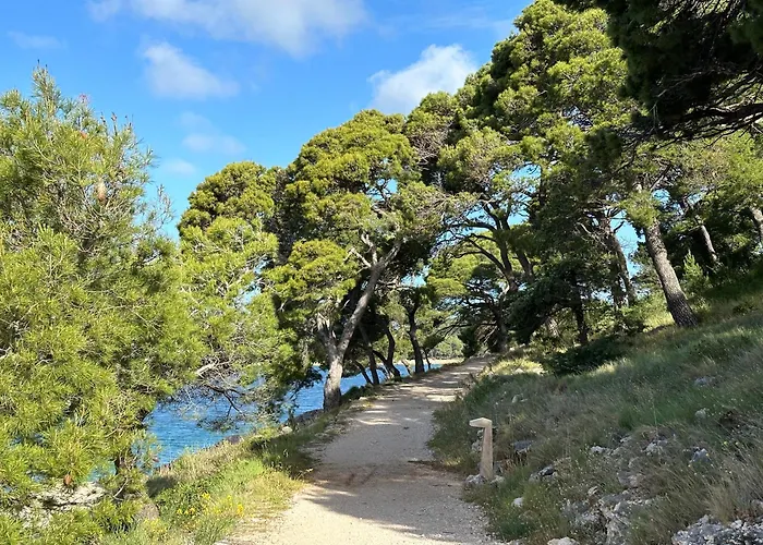The Sun Terrace Rogoznica (Sibenik-Knin)